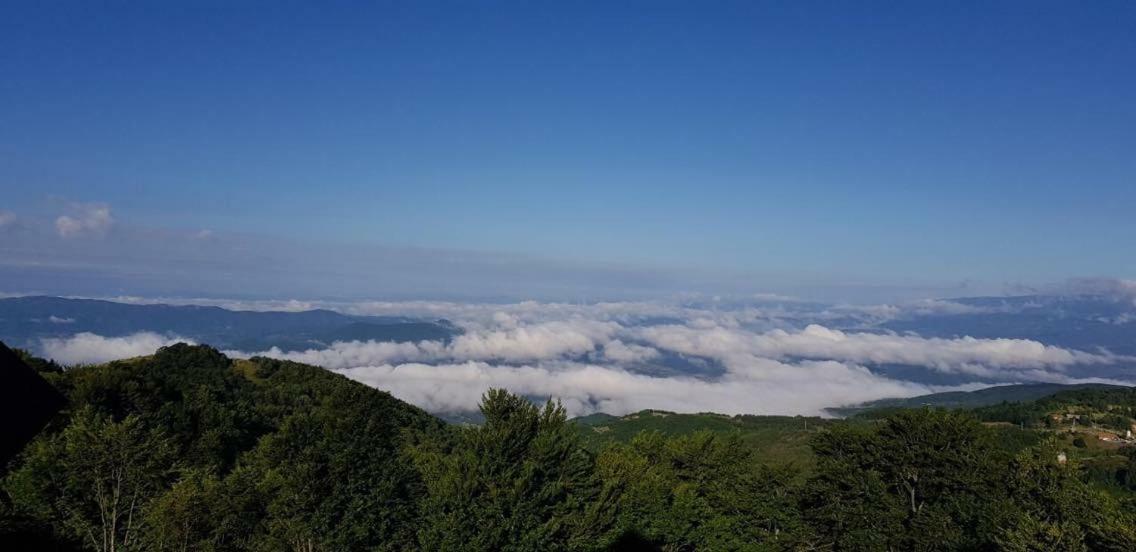 Goma Kop Apartmani 카파오닉 외부 사진